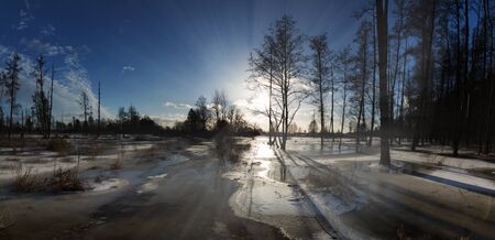 Rays of the rising sun shining through the trees on the frozen lakeの写真素材