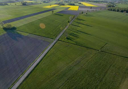 Green farmlands photographed in the morning light from an aerial viewの写真素材