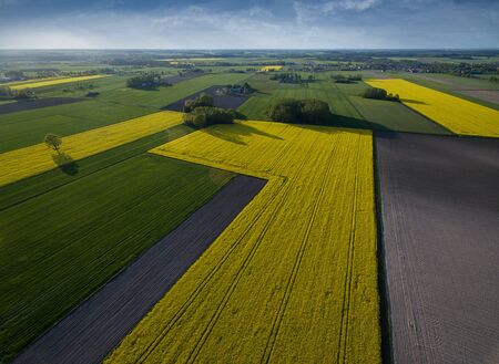 Green farmlands photographed in the morning light from an aerial viewの写真素材