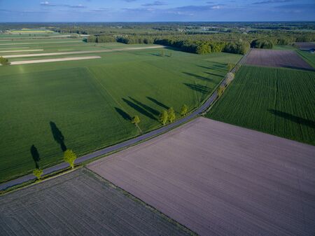 Green farmlands photographed in the morning light from an aerial viewの写真素材