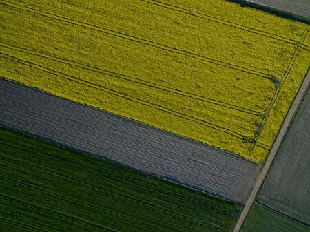 Green farmlands photographed in the morning light from an aerial viewの写真素材