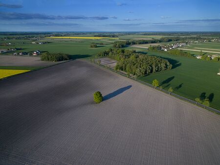 Green farmlands photographed in the morning light from an aerial viewの写真素材