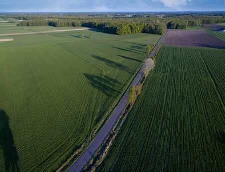 Green farmlands photographed in the morning light from an aerial viewの写真素材