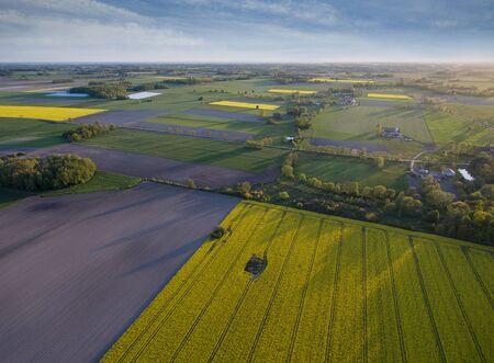 Green farmlands photographed in the morning light from an aerial viewの写真素材