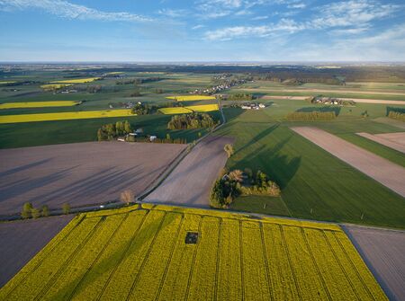 Green farmlands photographed in the morning light from an aerial viewの写真素材