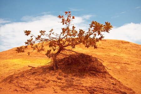 Ocres du Roussillon a.k.a "Little Colorado"の写真素材