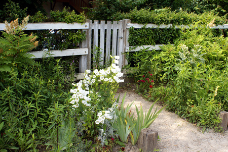 flowers by wooden gateの写真素材
