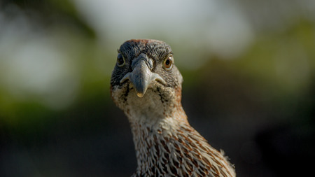 You lookin at Me の写真素材