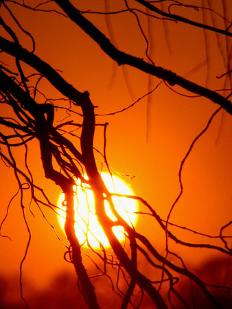 Sunsetの写真素材