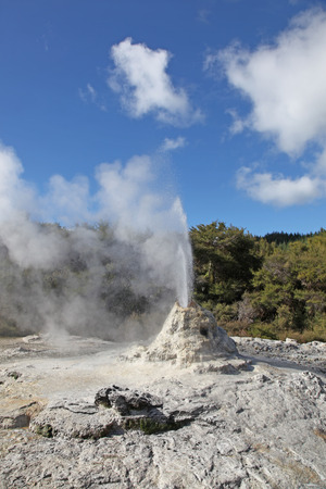 Lady Knox Geyser in Rotorua New Zealand. This geyser is a popular attraction in the Rotorua thermal region in New Zealandの写真素材