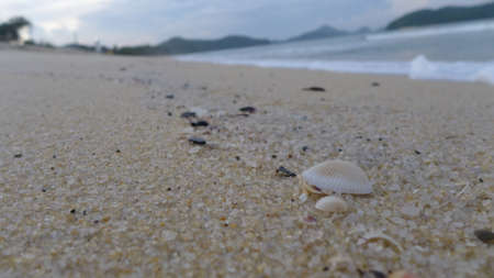 Summer beach.
