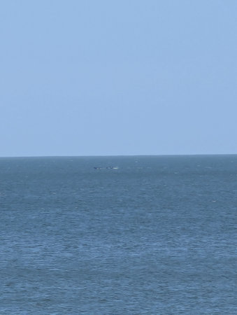 Seascape. Blue sea and blue sky. Nature composition.の写真素材