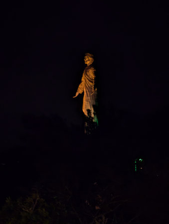 Statue of Jesus Christ on the mountain at night in the forest.の写真素材