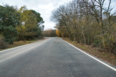 High mountain asphalt road with forests and trees on the sides.の写真素材