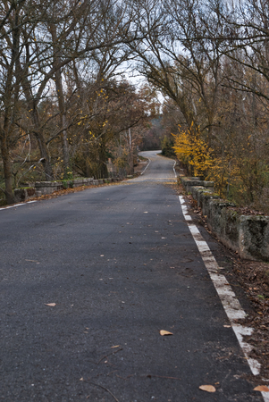 High mountain asphalt road with forests and trees on the sides.の写真素材