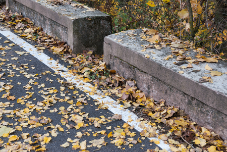 High mountain asphalt road with forests and trees on the sides.の写真素材