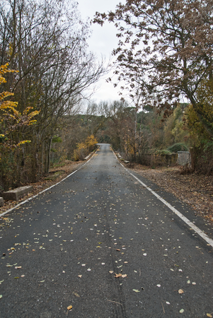 mountain forest roadの写真素材