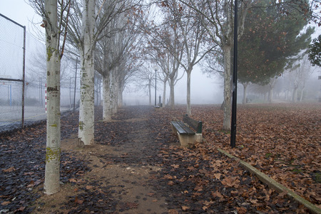 City in the fog romanesque park Zamoraの写真素材