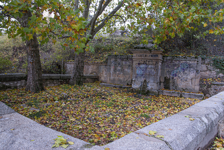 Ancient water source stone treesの写真素材