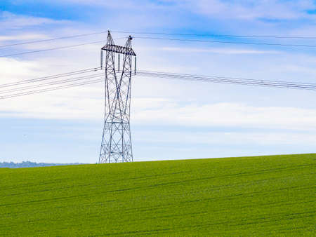 high voltage tower in a green wheat fieldの写真素材