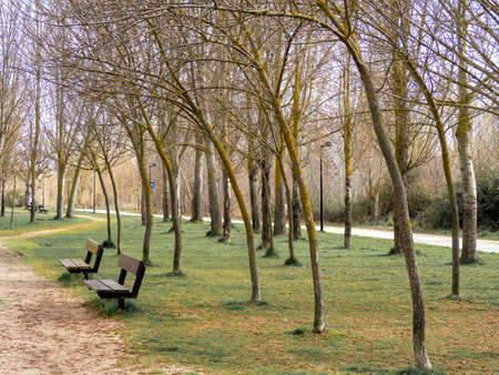 old bench in a public park in autumnの写真素材