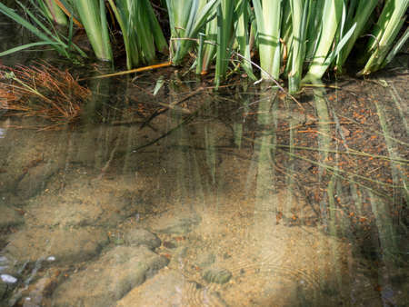 Refreshing Water from a natural spring flowing through the rocks