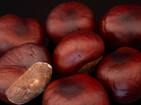 Chestnuts, brown autumn fruit used in European gastronomy.の写真素材