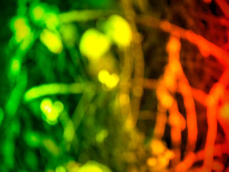 Abstract blue and green gradient background. Multicolor wallpaper