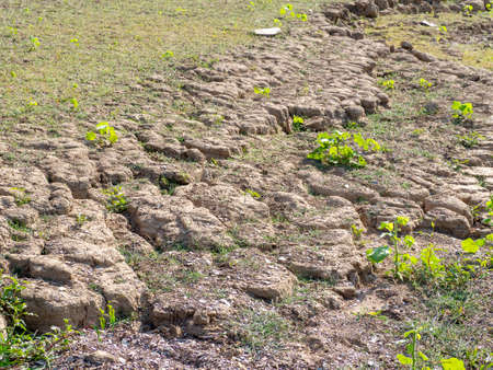 The fields are dry, the ground is broken and grassの写真素材