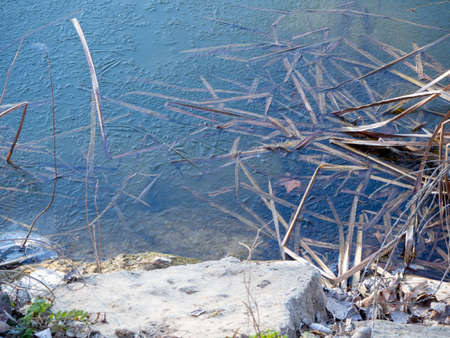 Icy river in winter with a large ice sheetの写真素材