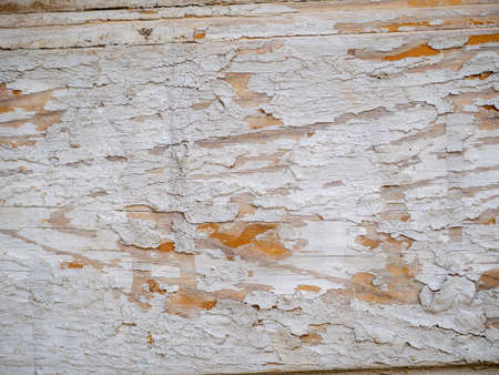 Texture of old and deteriorated old wooden doorの写真素材