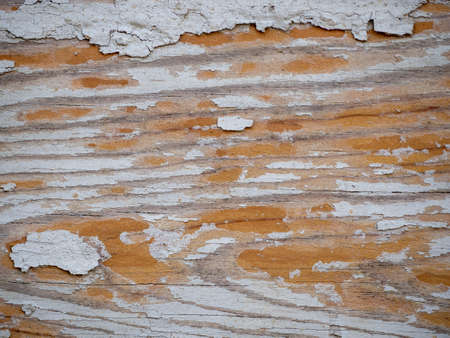 Texture of old and deteriorated old wooden doorの写真素材