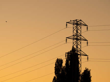 Electricity tower in the light of sunset on a plain. hq photoの写真素材