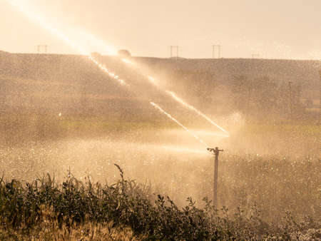 Irrigation system in ecological seedling agricultural plantsの写真素材