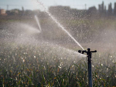 Irrigation system in ecological seedling agricultural plantsの写真素材