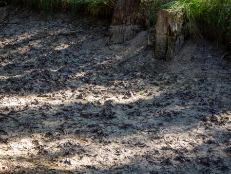 Climate change image of a reservoir with a dry tree branch. Concept of droughtの写真素材