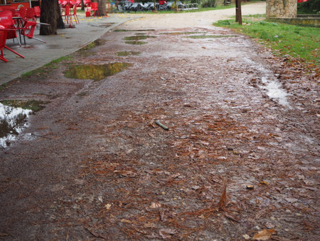 Cloudy and dark day in a forest in autumn after the rain. Concept of rain and autumnの写真素材