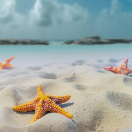 Starfish on the beach with blue sea and sky background. Copyspace.の素材