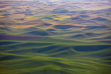 The rolling hills and fields of the Palouse region in Washington state.の写真素材
