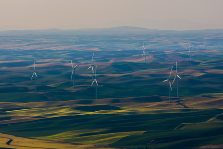 A wind farm in the Palouse region of Washington