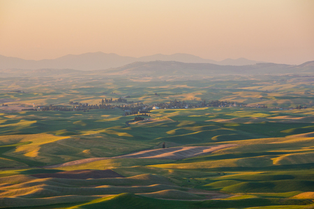The rolling hills and fields of the Palouse region in Washington state.の写真素材