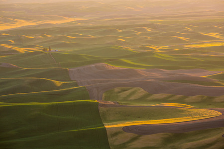 The rolling hills and fields of the Palouse region in Washington state.の写真素材