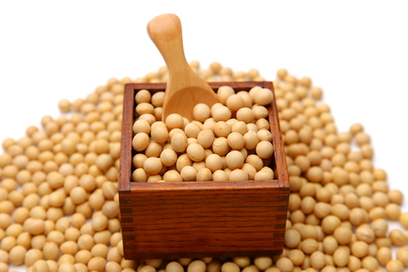 soybeansの写真素材