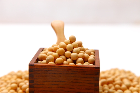 soybeansの写真素材