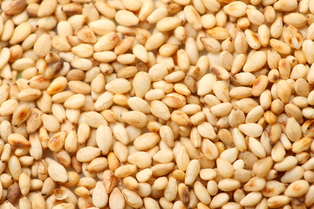 white sesame seedの写真素材