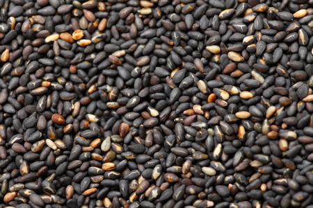 black sesame seedの写真素材