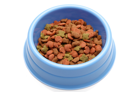 pet foodの写真素材