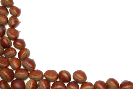 chestnuts frameの写真素材