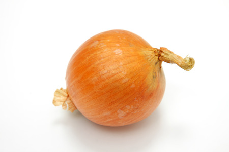 onion　の写真素材