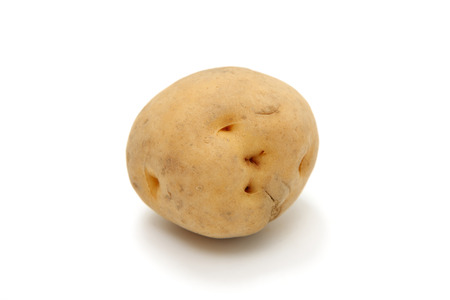 potato&#12288;の写真素材